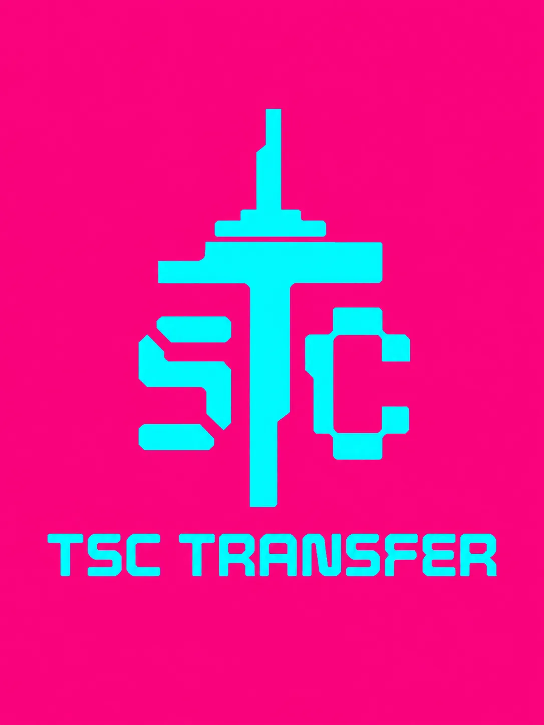 ТСК Трансфер